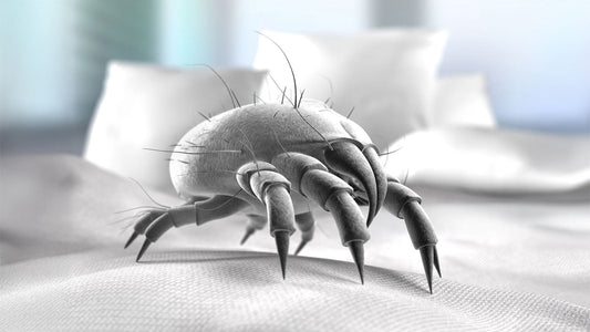 Are Mattress Protectors Really Necessary?